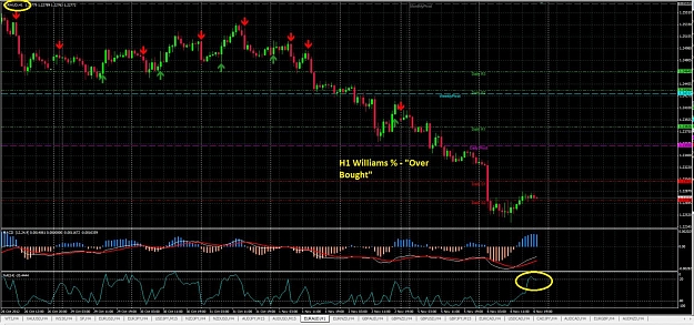 Click to Enlarge

Name: EURAUD - H1 Williams % Over Bought.jpg
Size: 204 KB