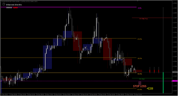 Click to Enlarge

Name: 2012-12-24_Euro in H1 Chart - SL.png
Size: 19 KB