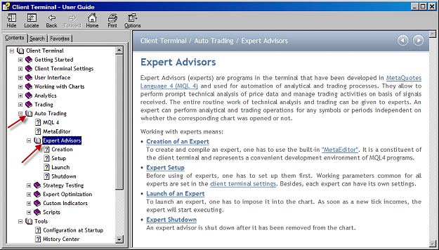 Click to Enlarge

Name: MT4 Expert Advisor.png
Size: 71 KB