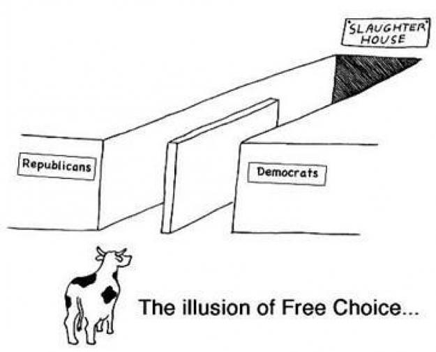 Click to Enlarge

Name: The Illusion of Free Choice democrats republicans.jpg
Size: 41 KB
