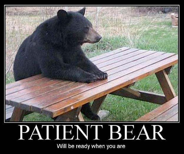 Click to Enlarge

Name: patient_bear.jpg
Size: 68 KB