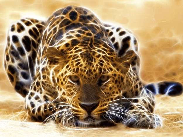 Click to Enlarge

Name: Cheetah.png
Size: 362 KB