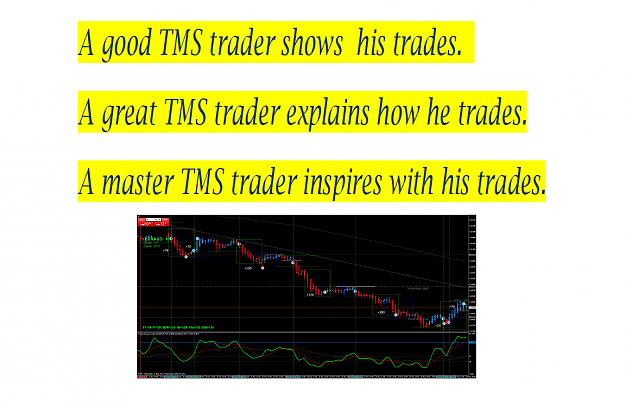 Click to Enlarge

Name: Phx62 Master TMS trader.png
Size: 96 KB