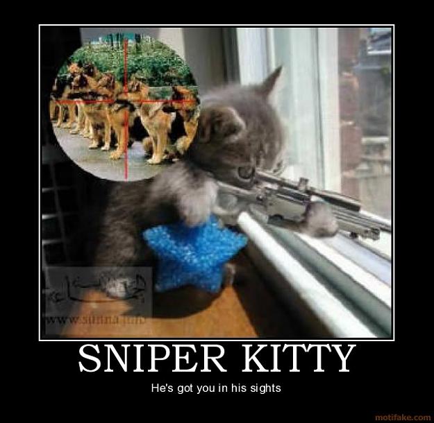 Click to Enlarge

Name: sniper-kitty-demotivational-poster-.jpg
Size: 55 KB