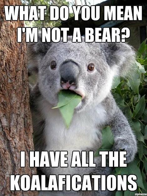 Click to Enlarge

Name: i-have-all-the-koalafications.jpg
Size: 80 KB
