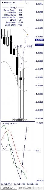 Click to Enlarge

Name: EURUSD, H1, 2014 August 26.jpg
Size: 67 KB