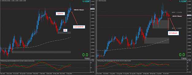 Click to Enlarge

Name: 2014-10-25_21-03-51USDCAD_Analysis.png
Size: 61 KB