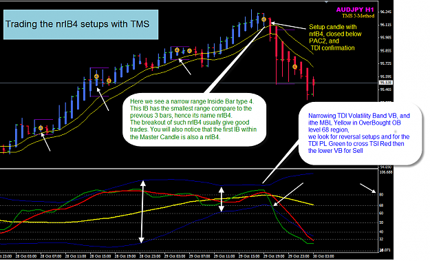 Click to Enlarge

Name: Example NRIB4 setup and TDI reversal.png
Size: 66 KB