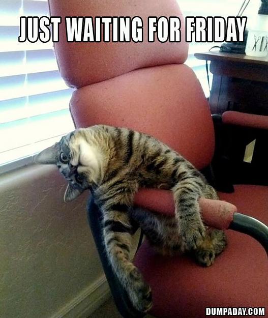 Click to Enlarge

Name: just waiting for friday.jpg
Size: 71 KB
