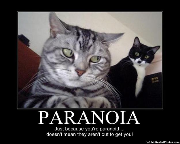 Click to Enlarge

Name: paranoia.jpg
Size: 82 KB