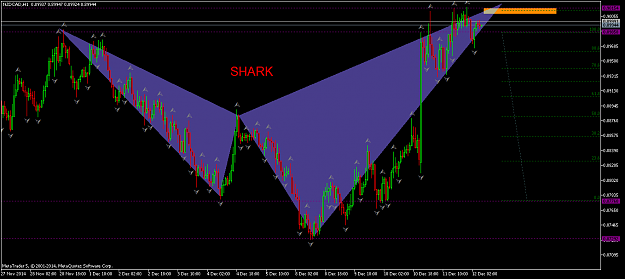 Click to Enlarge

Name: NZDCADH1.SHARK.png
Size: 58 KB