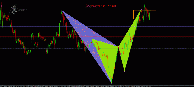 Click to Enlarge

Name: GbpNzd 1hr.gif
Size: 56 KB