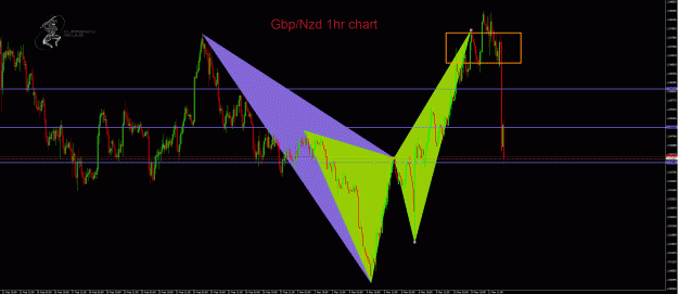 Click to Enlarge

Name: GbpNzd 1hr.gif
Size: 65 KB