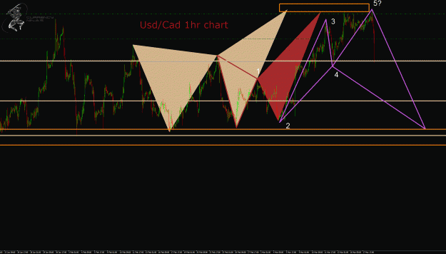 Click to Enlarge

Name: UsdCad 1hr chart.gif
Size: 56 KB