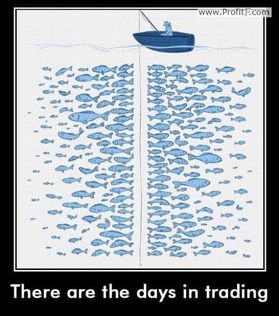 Click to Enlarge

Name: Funny-forex-pictures-from-profitf-6.jpg
Size: 85 KB