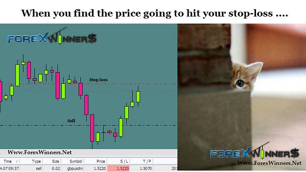 Click to Enlarge

Name: Forex-funny.jpg
Size: 278 KB