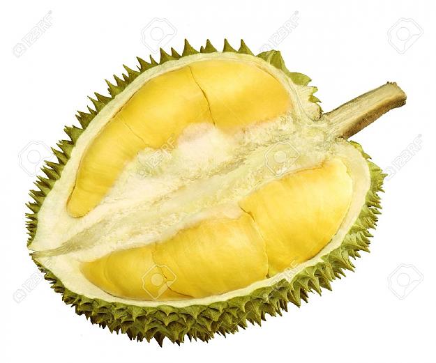 Click to Enlarge

Name: 6389068-Durian--Stock-Photo-durian-fruit-durians.jpg
Size: 132 KB