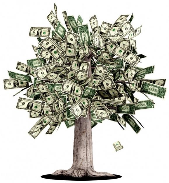 Click to Enlarge

Name: dollar-money-tree.jpg
Size: 186 KB