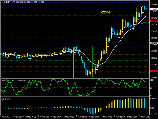 Click to Enlarge

Name: EURJPY+M5.png
Size: 30 KB