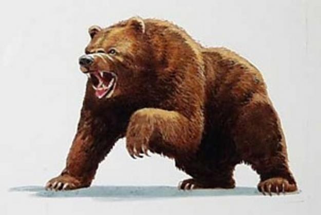 Click to Enlarge

Name: Bear-Market-Stock-Market.jpg
Size: 117 KB