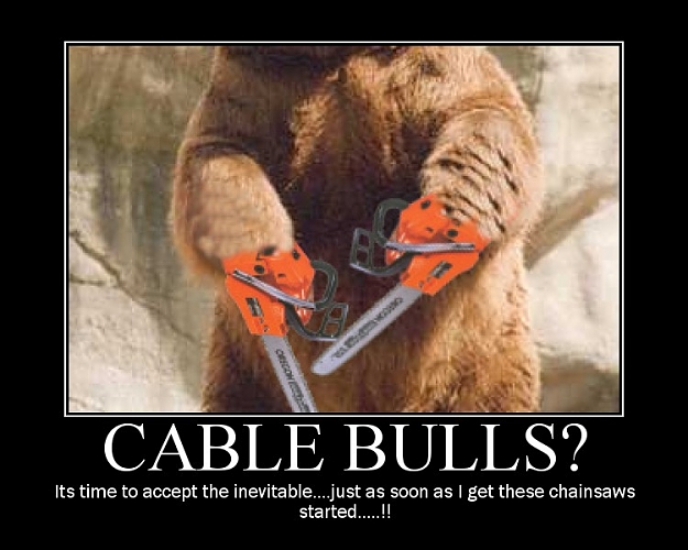 Click to Enlarge

Name: Cable bulls.jpg
Size: 86 KB
