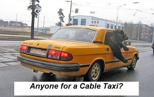 Click to Enlarge

Name: bear in cab.jpg
Size: 41 KB