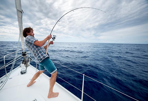 Click to Enlarge

Name: Fish Catcher.jpg
Size: 707 KB