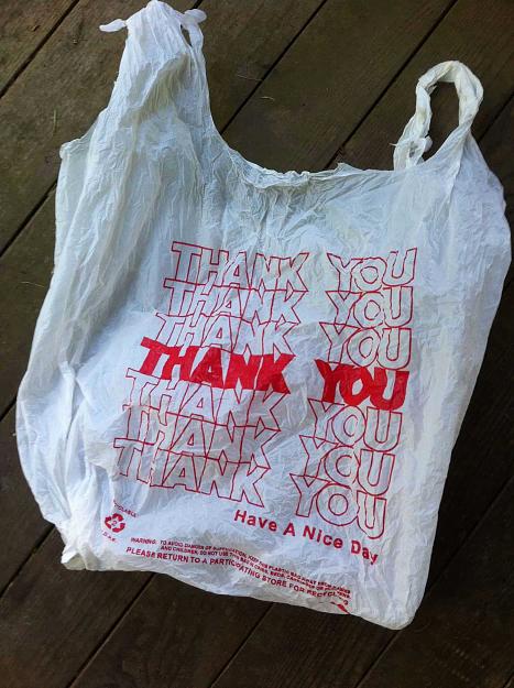 Click to Enlarge

Name: Plastic-Bag.jpg
Size: 149 KB
