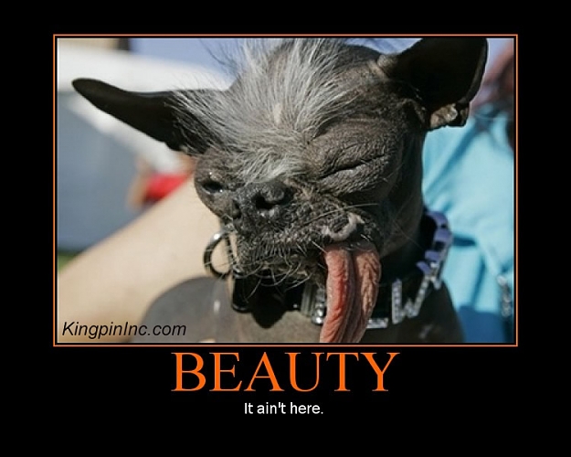 Click to Enlarge

Name: ugly-dog.jpg
Size: 77 KB