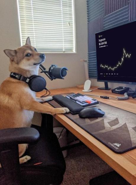 Click to Enlarge

Name: dog trading.jpg
Size: 64 KB