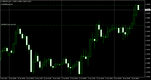 Click to Enlarge

Name: GBPUSD_1801_sell.png
Size: 11 KB