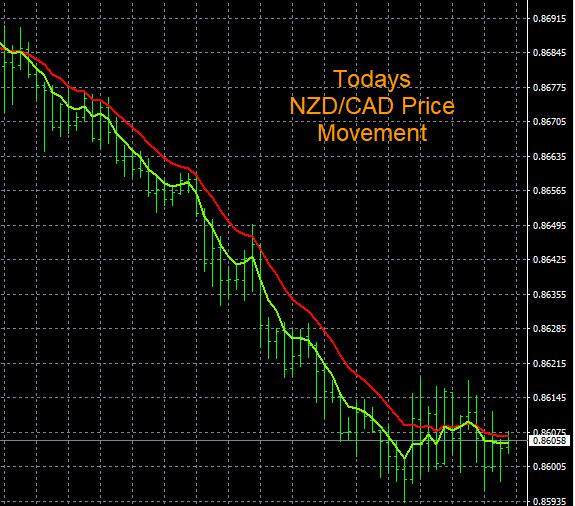 Click to Enlarge

Name: 1-19-2023 NZDCAD Chart.jpg
Size: 133 KB