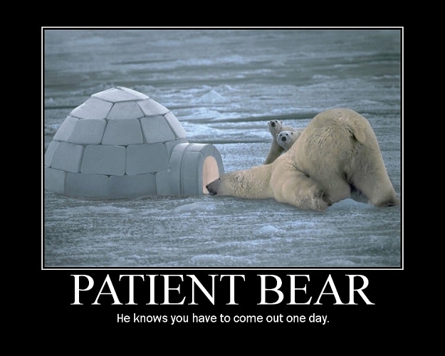 Click to Enlarge

Name: Patient_Bear_by_Nastyguy.jpg
Size: 79 KB