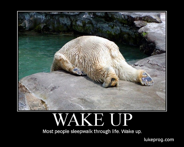 Click to Enlarge

Name: 93-Wake Up.jpg
Size: 238 KB