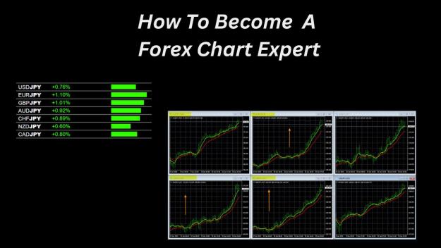 Click to Enlarge

Name: How To Become A Forex Chart Expert.jpg
Size: 120 KB