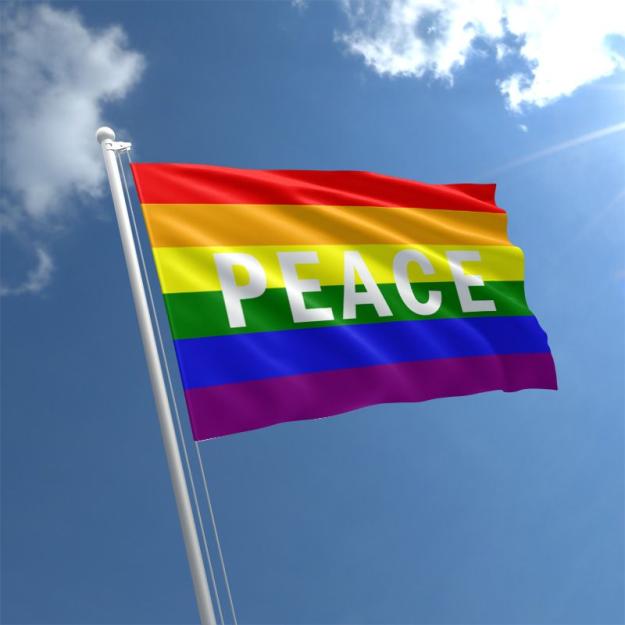 Click to Enlarge

Name: rainbow-peace-flag-std.jpg
Size: 43 KB