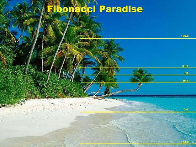 Click to Enlarge

Name: paradise.jpg
Size: 159 KB