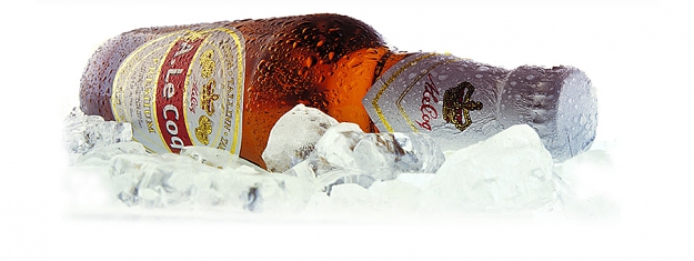 Click to Enlarge

Name: estonian beer.jpg
Size: 136 KB