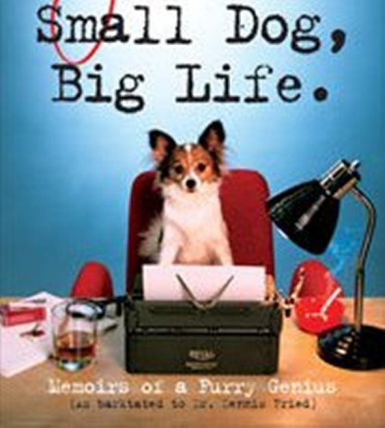 Click to Enlarge

Name: dog life -1.jpg
Size: 78 KB