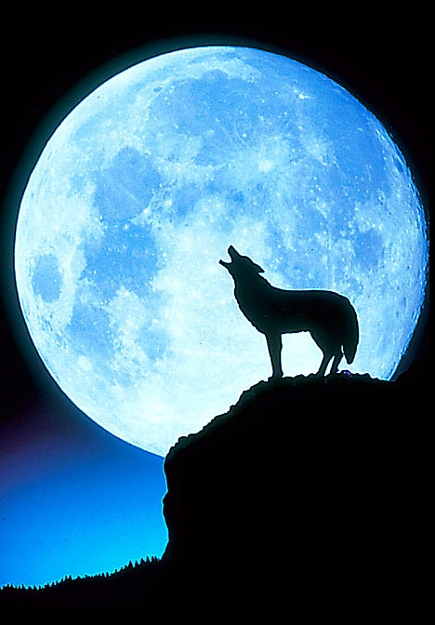 Click to Enlarge

Name: fullmoon.jpg
Size: 57 KB