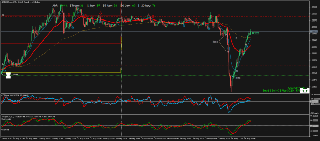 Click to Enlarge

Name: GBPUSD.proM5.png
Size: 29 KB