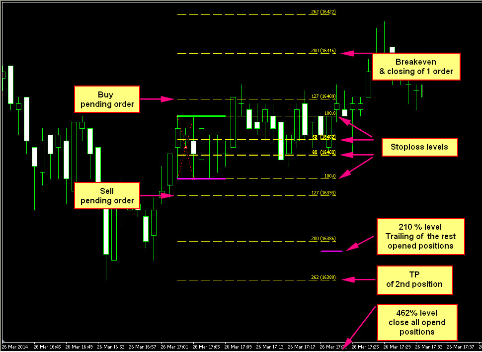 I Need An Ea For My Simple Mother Candle Fibonacci System Forex - 