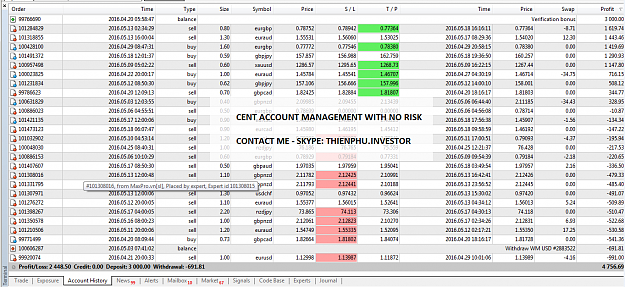 forex cent account)