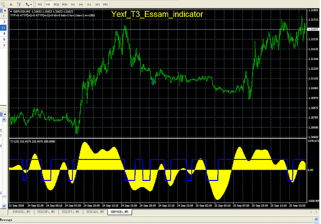 T3_Essam indicator
