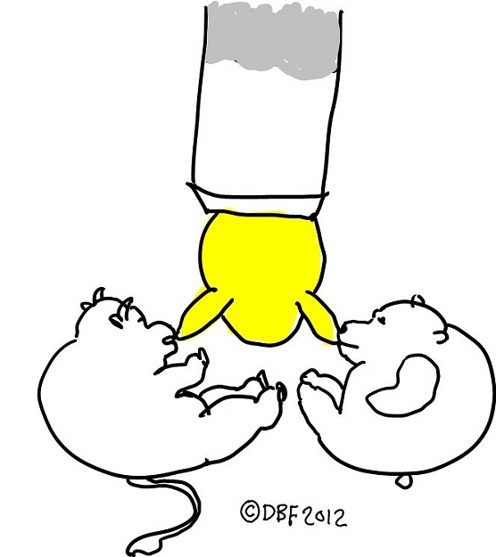 Click to Enlarge

Name: BABIES.JPG
Size: 48 KB