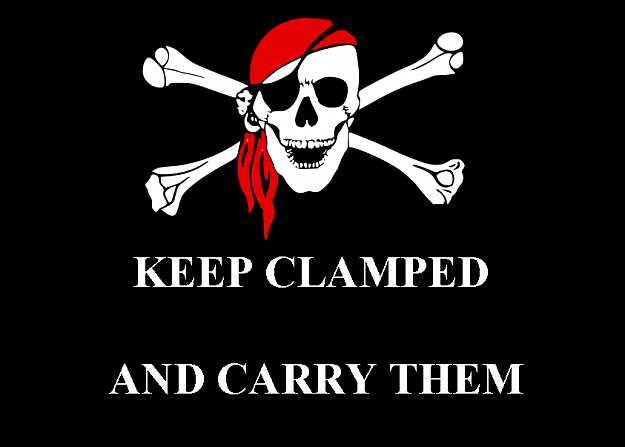 Click to Enlarge

Name: pirate_skull_and_bones_MOTTO.png
Size: 33 KB