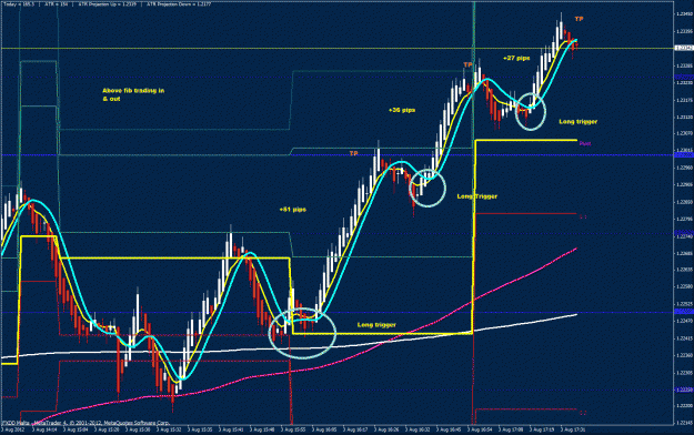 Click to Enlarge

Name: pivot fib extension.gif
Size: 246 KB