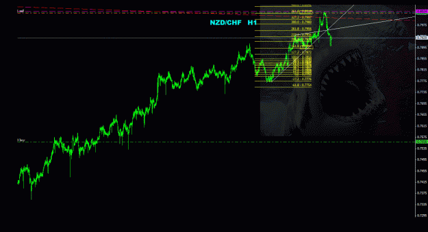 Click to Enlarge

Name: nzdchf_1h_044.gif
Size: 68 KB