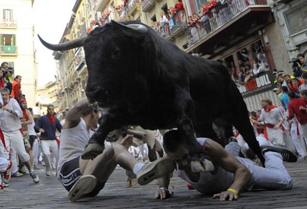 Click to Enlarge

Name: bull3_37410b.jpg
Size: 46 KB