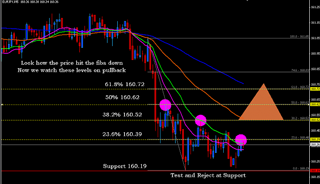 Click to Enlarge

Name: Fibo 5 min EJ.PNG
Size: 32 KB